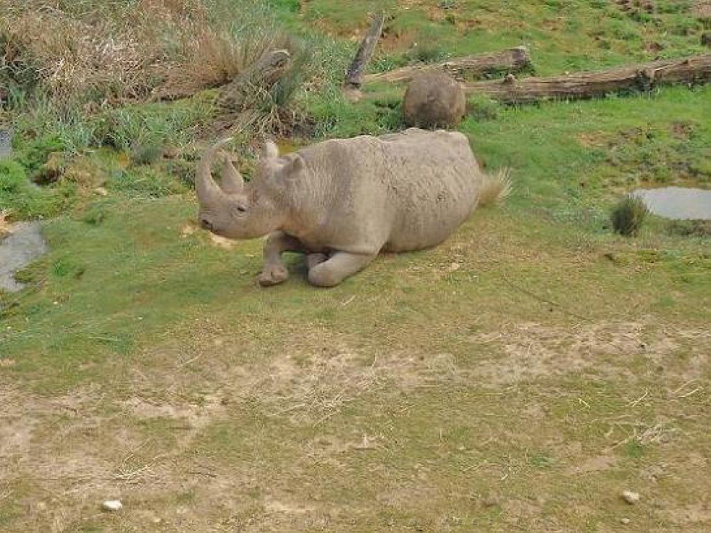 149 BIO PARC DE DOUE LA FONTAINE 7- 2016_000032.jpg